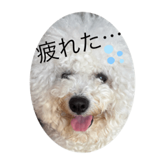 Nina_20250326125608