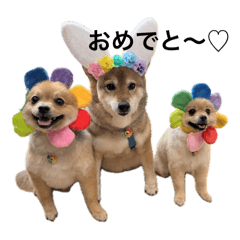 yuka_20250326130337