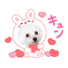 MT_20250326163240