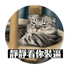 萌的幹話篇