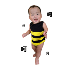 Cooperliltiger