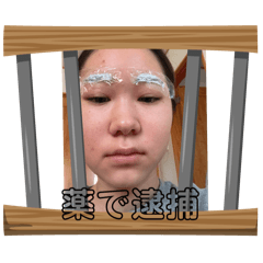 Aoi_20250326130455