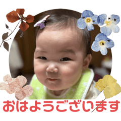 Haruru_20250326131826