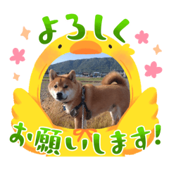 keiko_20250326214009