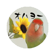 Enjoy Kozakura life