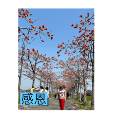光廊