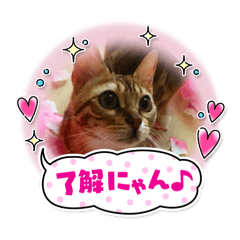 mika_20250326174131