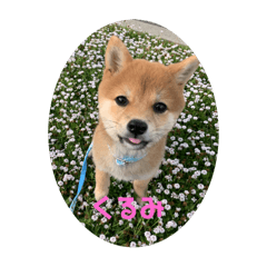 mako_20250326160247