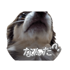 aoi_20250326160638