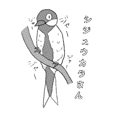 popopipopuu