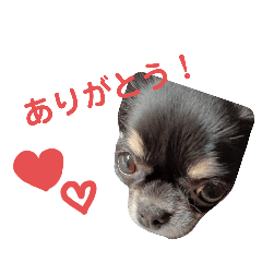hiyori_20250326184521