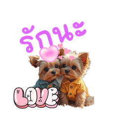 ไปเที่ยว ไปเที่ยว