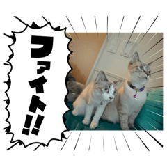 yuuki_20250326193416