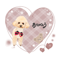 mana_20250327104855