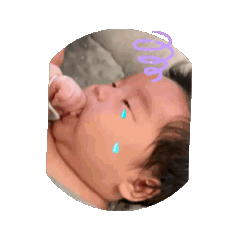 小龍貓兒1