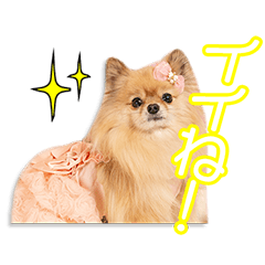 My beloved Ichigohime