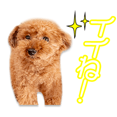 My beloved Leo Ariyoshi