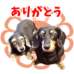 MADOKA and SHIZUKA'S Sticker