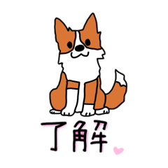 Border collies anime sticker