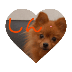 honoka_20250326192850