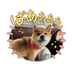Kaori_i