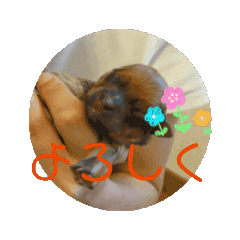 honoka_20250326202030