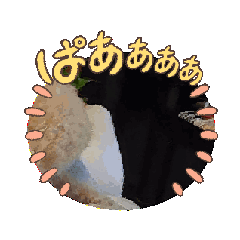 yume_20250326232415