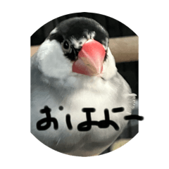 iroha_20250326202258