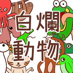 Stupid animals from Taiwan