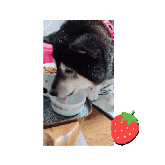 ruru_20250327105132