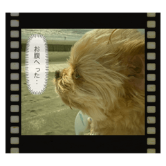 Sato_20250326190513