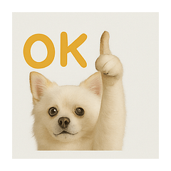 MOCHI!!DOG!!!