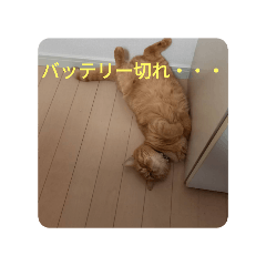 yui_20250326213002