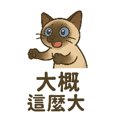 咪咪咪咪¹⁶
