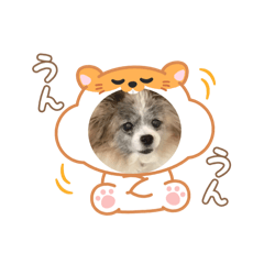 JUN_20250326152907
