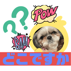 Coco_20250326152145