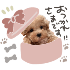 poco_20250326152652