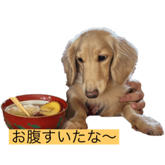 runa_20250326224102