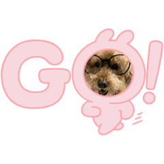 goooma50