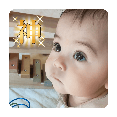 RISA_20250326143923