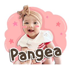 Little Pangea