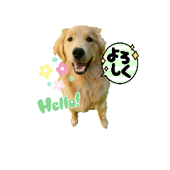 Sunny.15