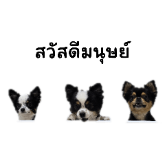 Jk_20250326234338