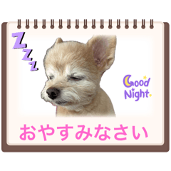 JK_20250326200530