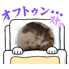 AYANE_20250326201323