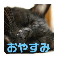 Js_20250326210256