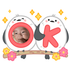 Ham_20250327071458