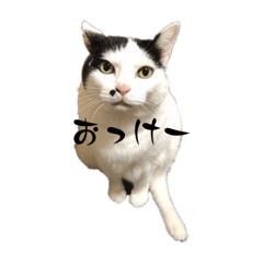 mura_20250327002107