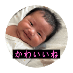 SHOHEI_20250327112841