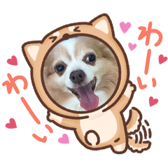 Coco_20250327110304